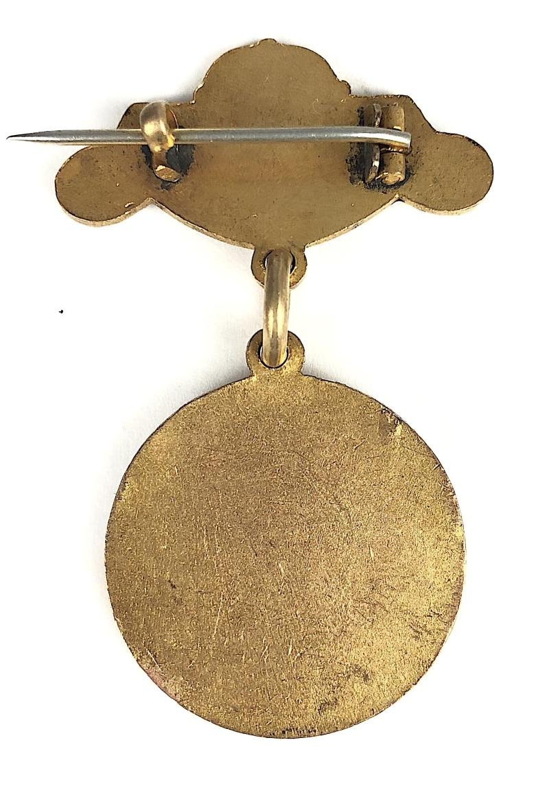 British Red Cross Society County of Warwickshire unnamed badge — image 2