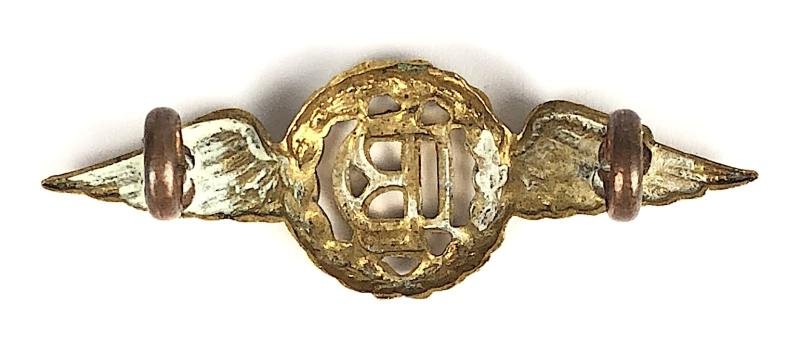 Royal Air Force Dental Branch RAF Badge — image 2