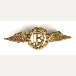 Royal Air Force Dental Branch RAF Badge