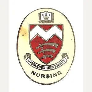 Middlesex University London Nursing pin badge