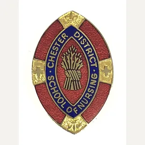 Chester District School of Nursing hospital badge