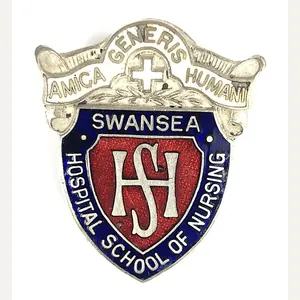 Swansea Hospital School of Nursing Named Badge Wales