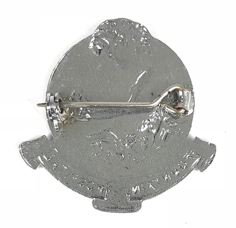 The Fountain Hospital nurses badge Tooting Grove, London — image 2