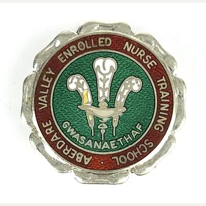 Aberdare Valley Enrolled Nurse Training School Wales 1970 silver hospital …