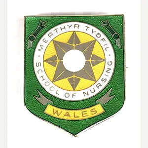 Merthyr Tydfill School of Nursing Wales 1970 silver hospital badge