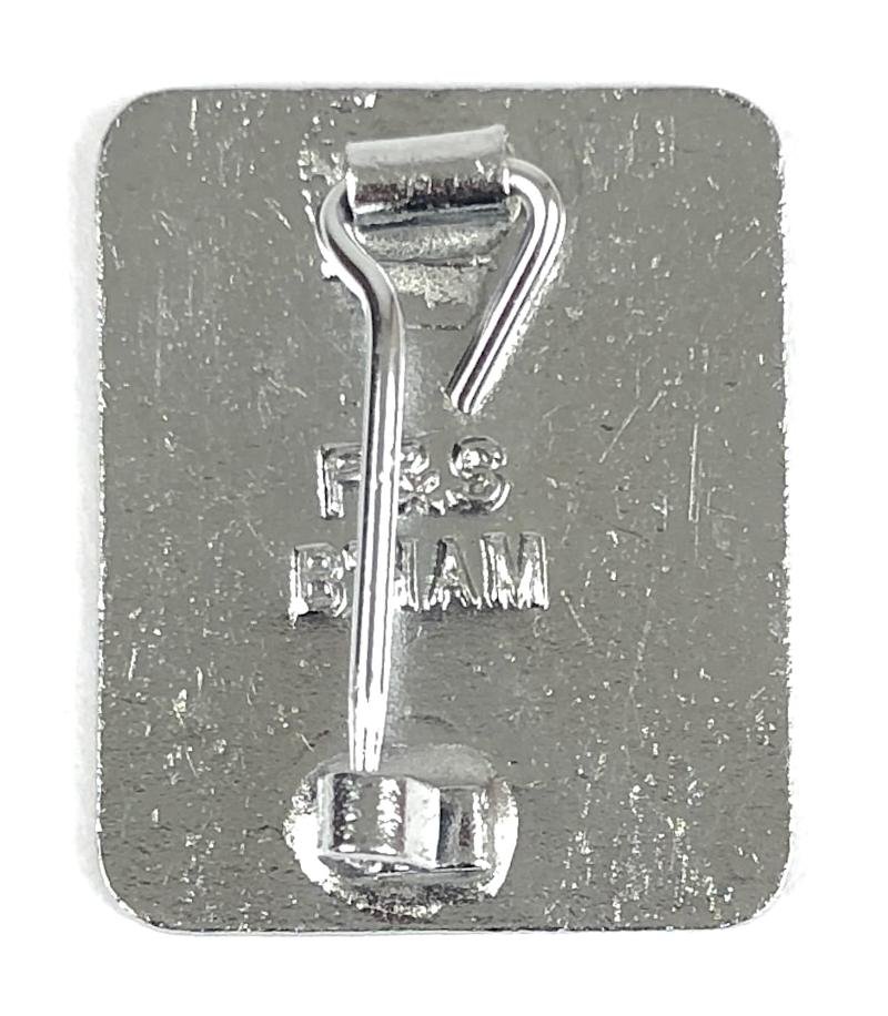 Butlins 1962 Margate holiday camp starfish badge — image 2