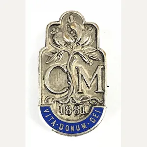 College of Midwives nurses union badge