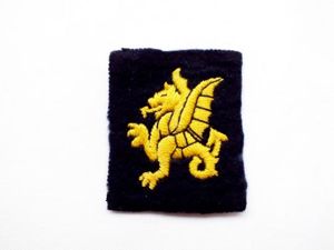 43rd Wessex Infantry Division Formation Patch