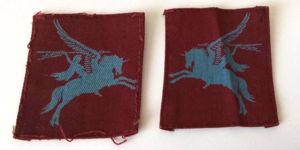 Scarce Matching Pair of WW2 Tunic Removed Parachute Regiment Formation …
