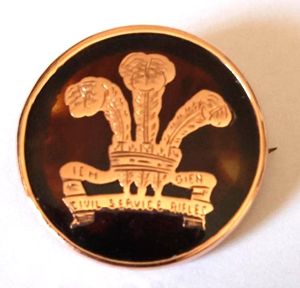 Tortoise Shell / 9 ct Gold Civil Service Rifles Sweetheart …