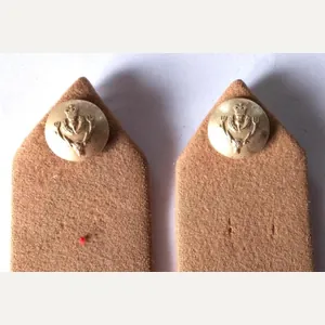 Matching Pair of Queens Own Highlanders Epaulettes