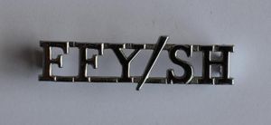 British Army Shoulder title Fife & Forfar Yeomanry Scottish horse