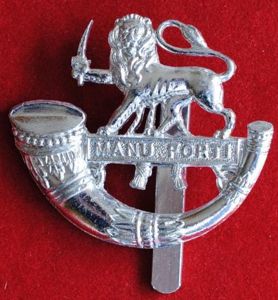 The Herefordshire Light Infantry Anodised Cap Badge