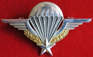 French Foreign Legion & French Military Parachute Wings