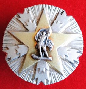 Yugoslavia Order of National Merit (Orden Zasluge za Narod), III …