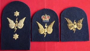 Royal Navy Telegraphist's Bullion Arm Badge x 3