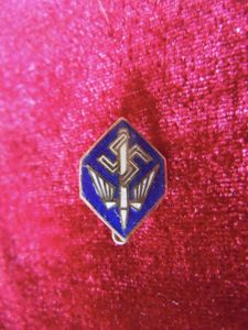 Insigne stenografenschaft