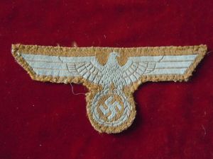 Aigle de poitrine tropical