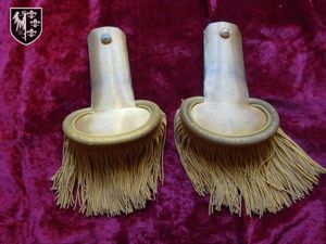 Paire d'épaulettes de capitaine d'infanterie Troisième République dans sa boîte …