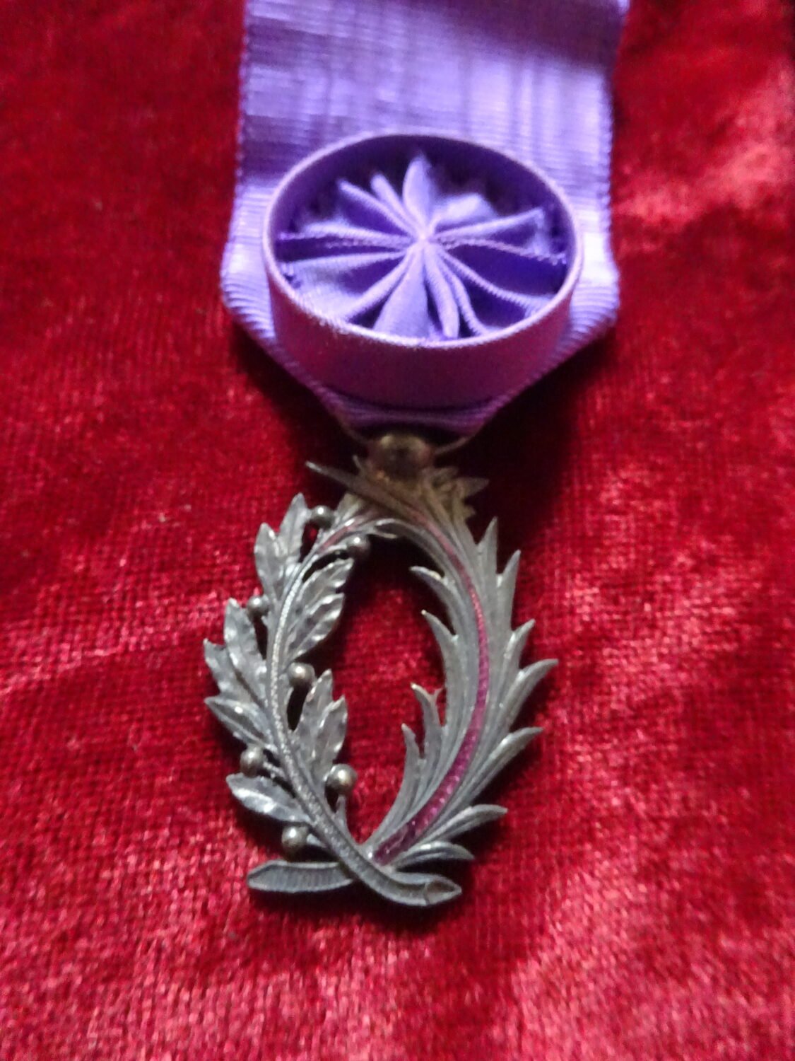 Médaille officier des palmes académiques — image 2