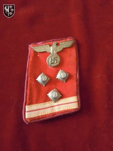 Patte de col Haupt-Einsatzleiter