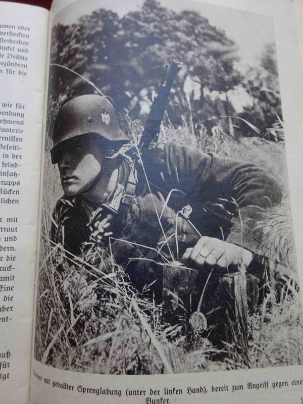 Brochure Pioniere — image 3