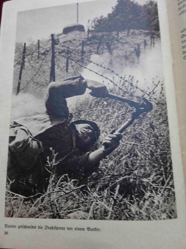 Brochure Pioniere — image 5