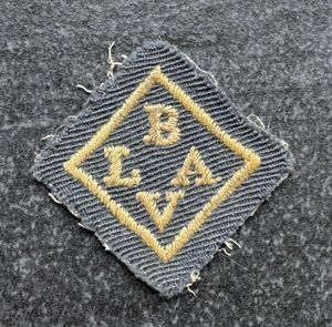 WW1 British Latin American Volunteers Breast Badge