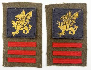 WW2 214th Infantry Brigade 43rd Infantry Division Combination