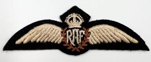 WW2 Royal Air Force Pilots Wing