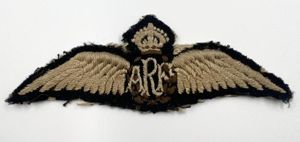 1918 Royal Air Force First Pattern Pilots 'Toronto Wing'
