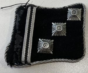 A UNIFORM REMOVED OBERSTURM TAB.