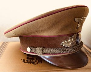 NR MINT GAULEITUNG VISORED HAT.