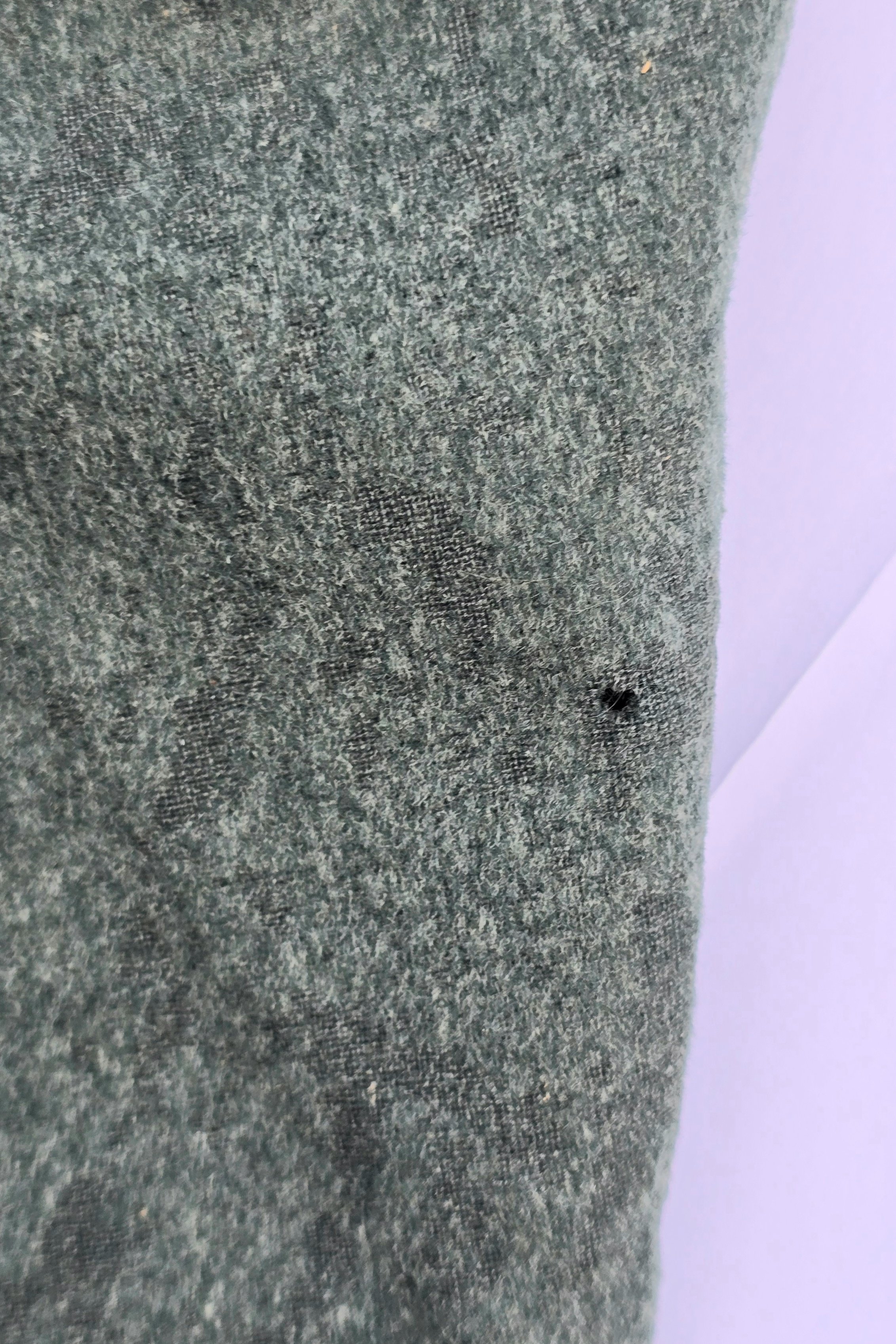 IDENTIFIED Waffen-SS Obersturmführer of Pz.Jäger — image 6