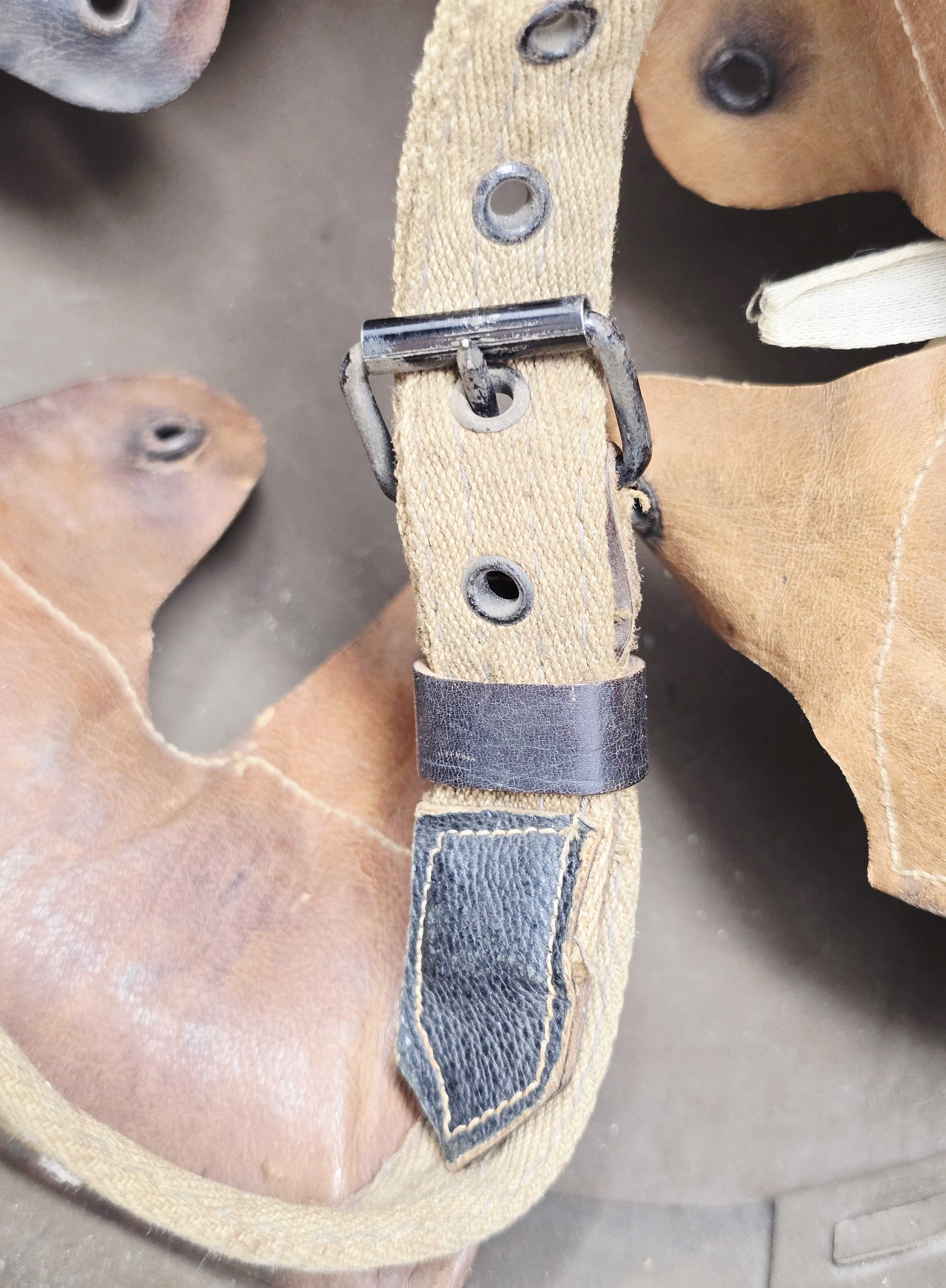 Fine Austrian WWI Helmet, Size 66 — image 10