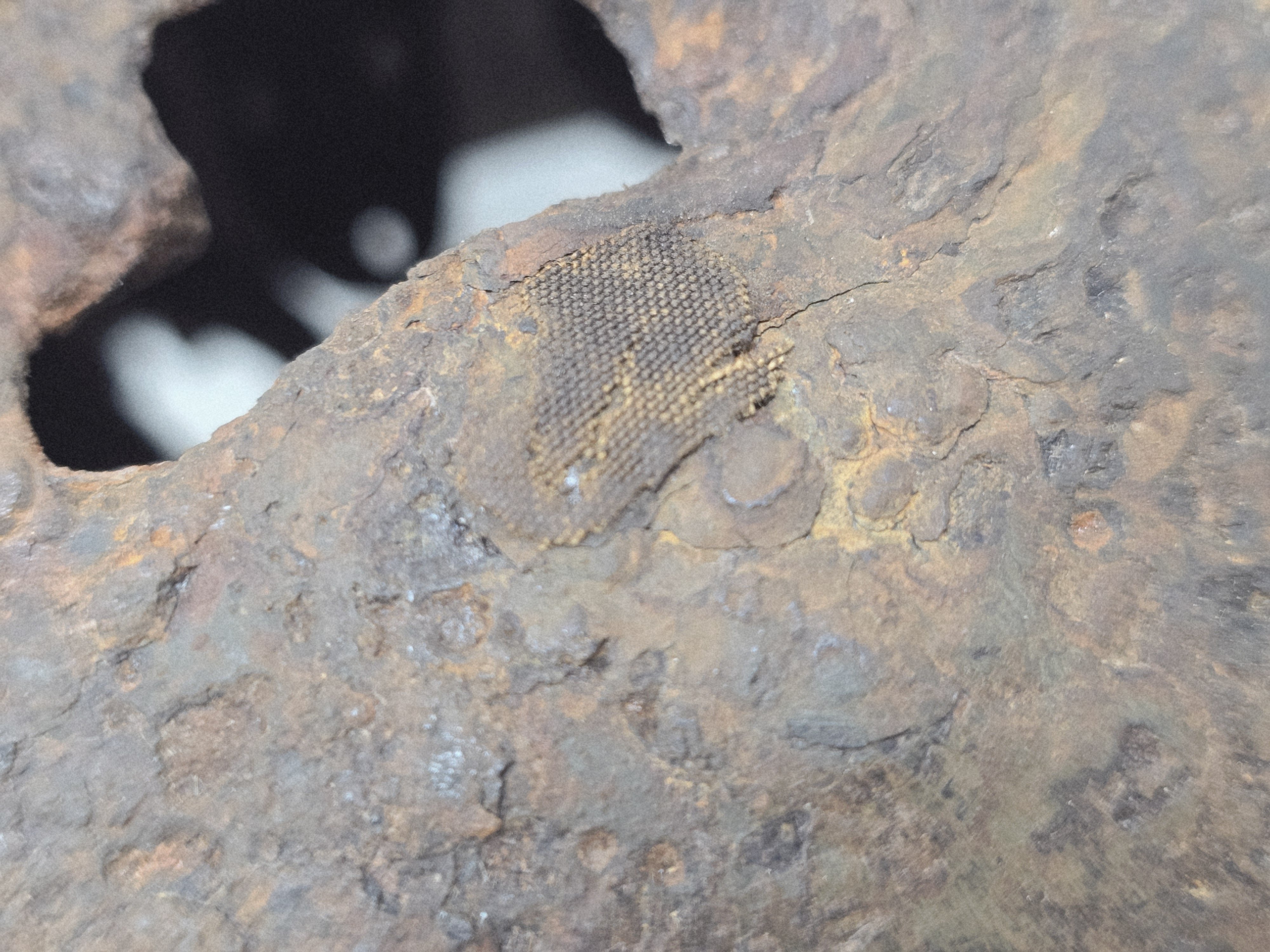 Really Killer Quist Battlefield Helmet — image 5