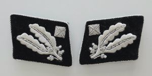 Mint SS-Brigadeführer Tabs, Screw-back