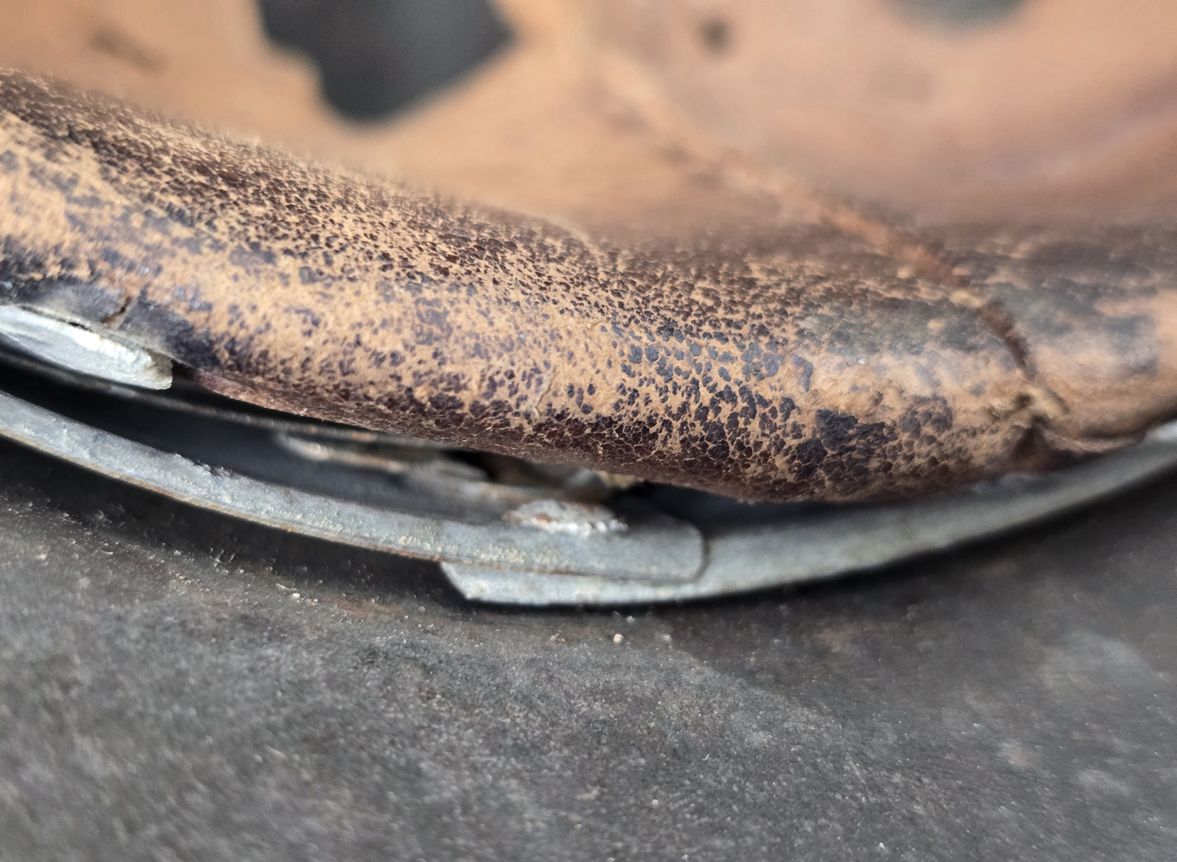 Waffen-SS M40 Combat Helmet — image 11