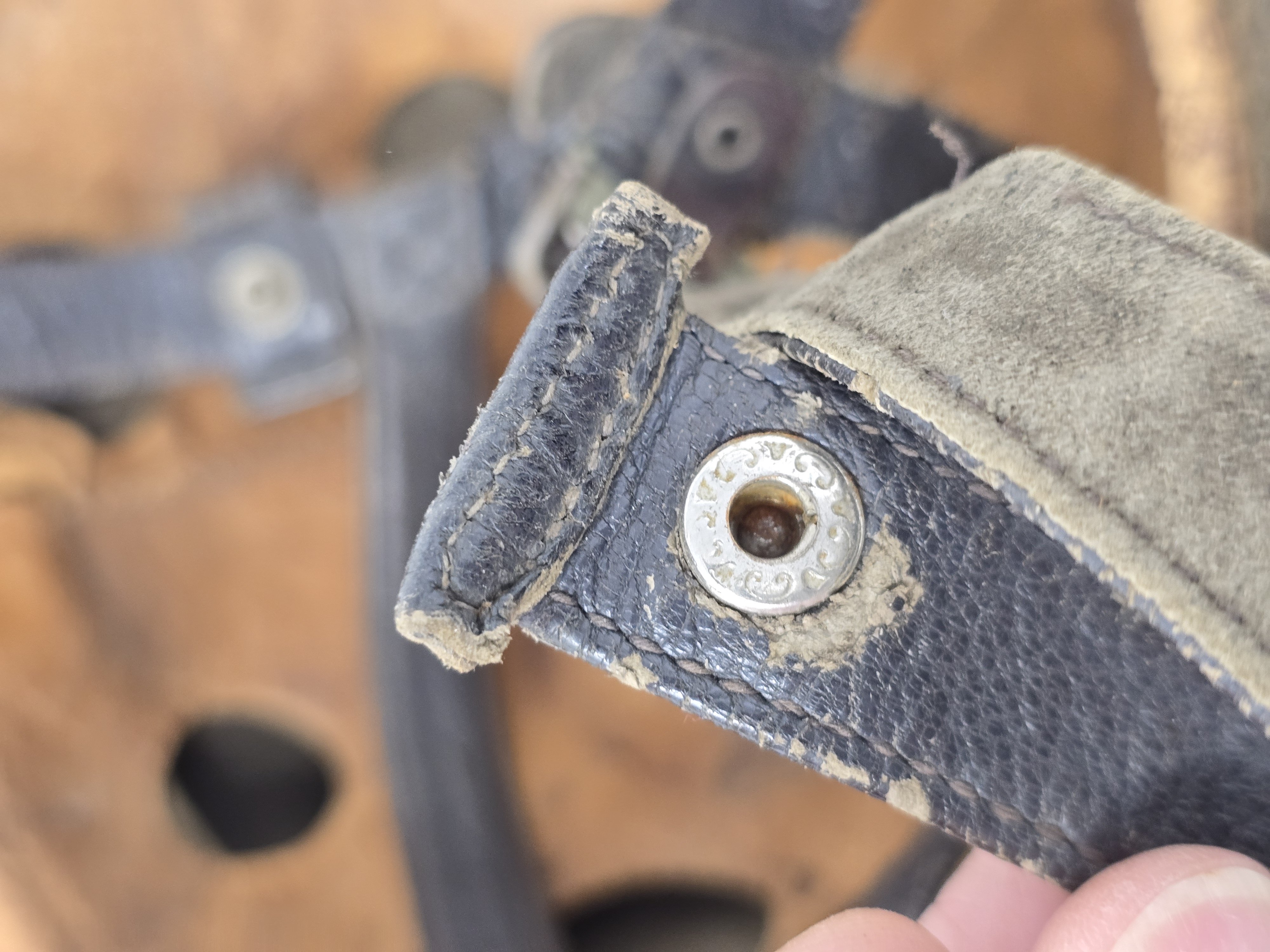Striking Luftwaffe Fallschirmjäger Helmet, Netted! — image 19