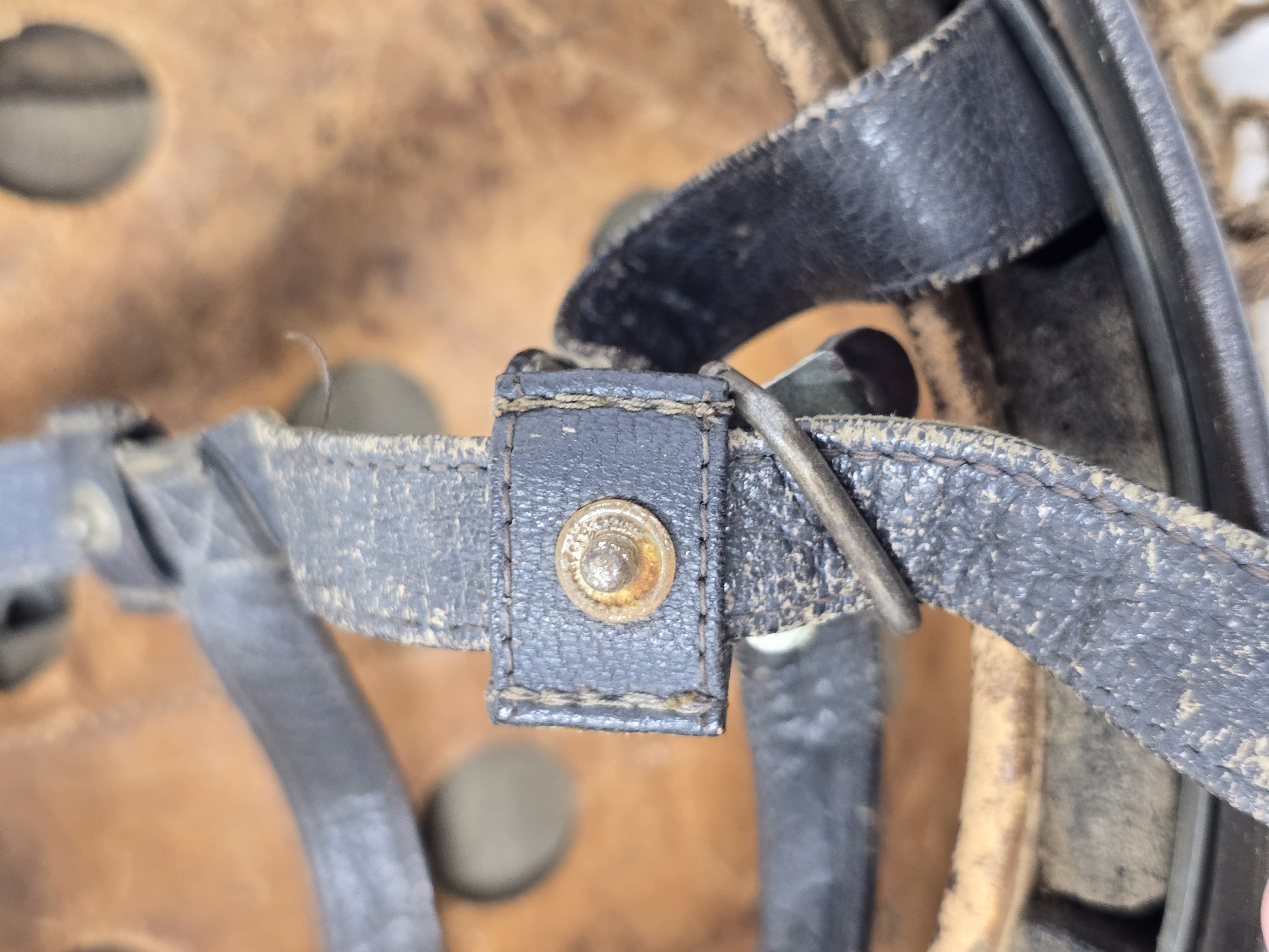 Striking Luftwaffe Fallschirmjäger Helmet, Netted! — image 20