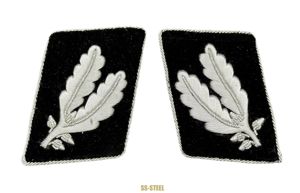 (CG) Exquisite Matching SS-Oberführer Tabs