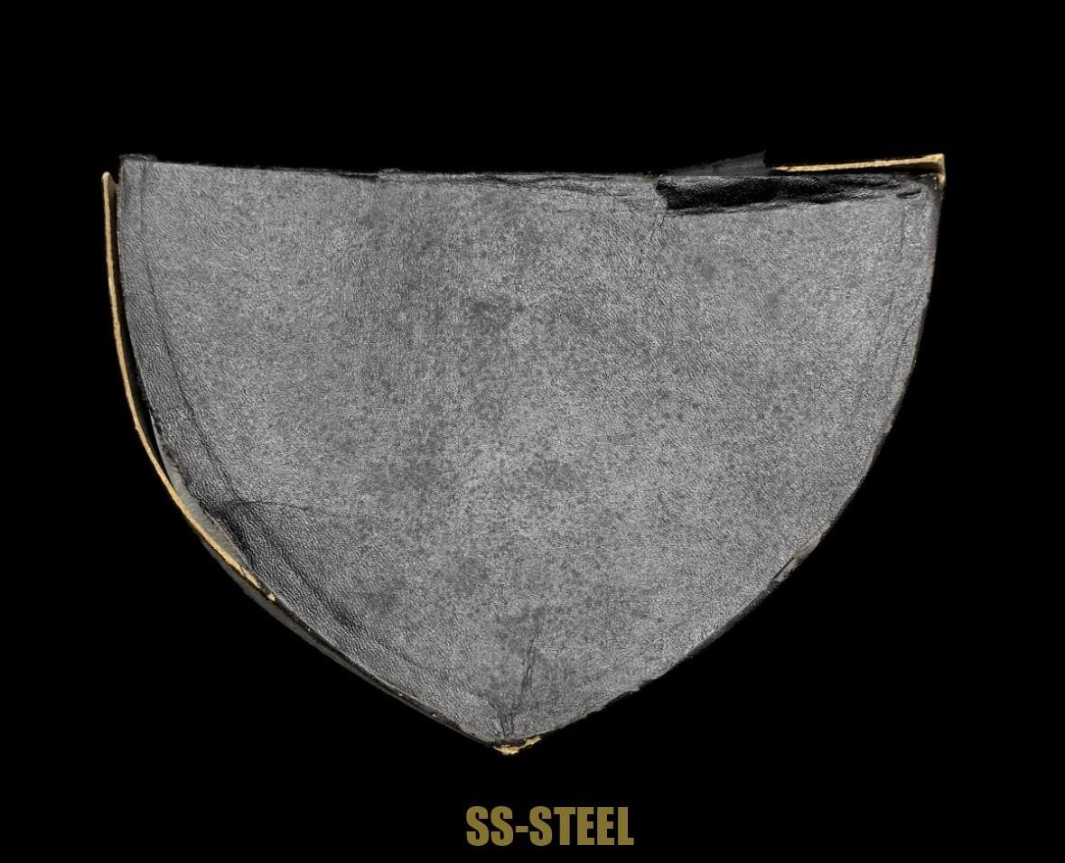 NSDAP Political Leaders Gorget w/ Case — image 9