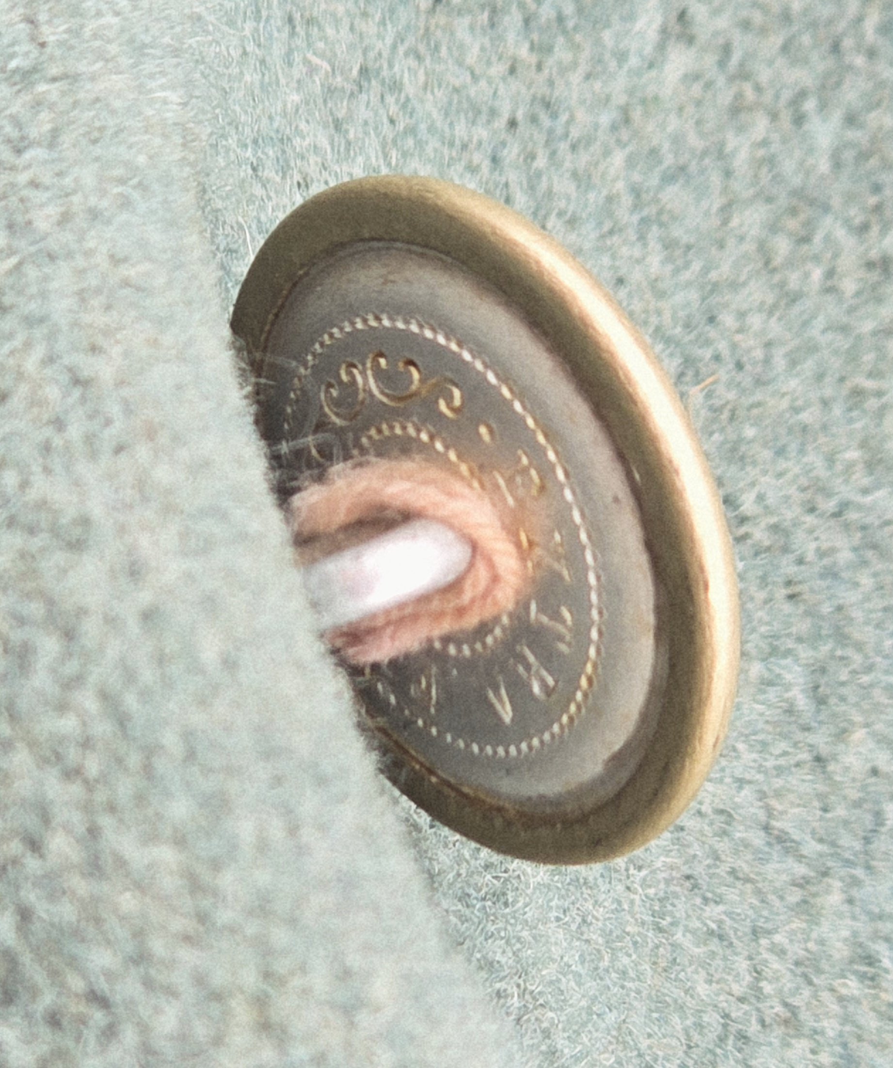 Striking Waffen-SS Medical Officer's Mantel — image 12