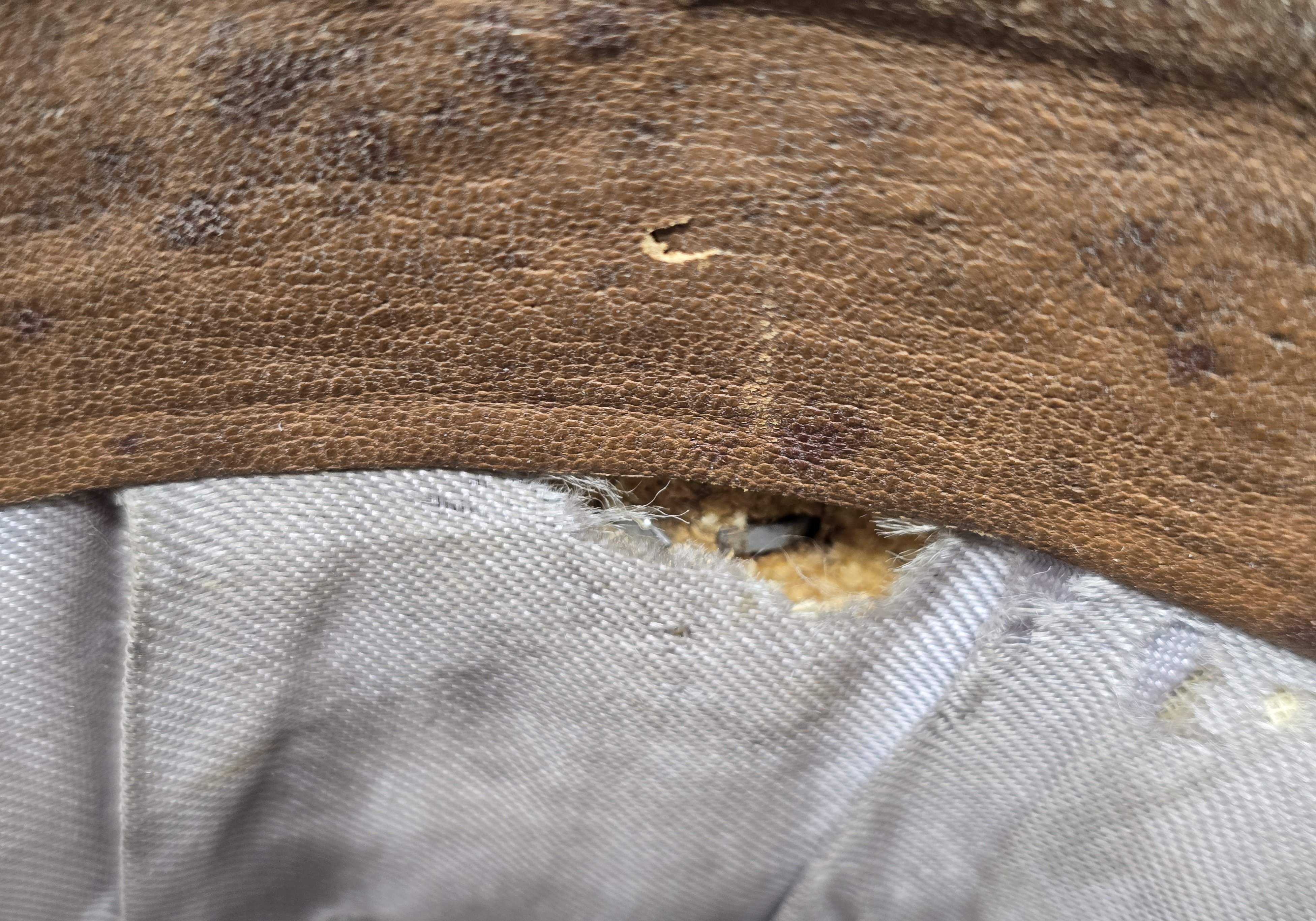 Stunning Waffen-SS Officer's Crusher Cap — image 8