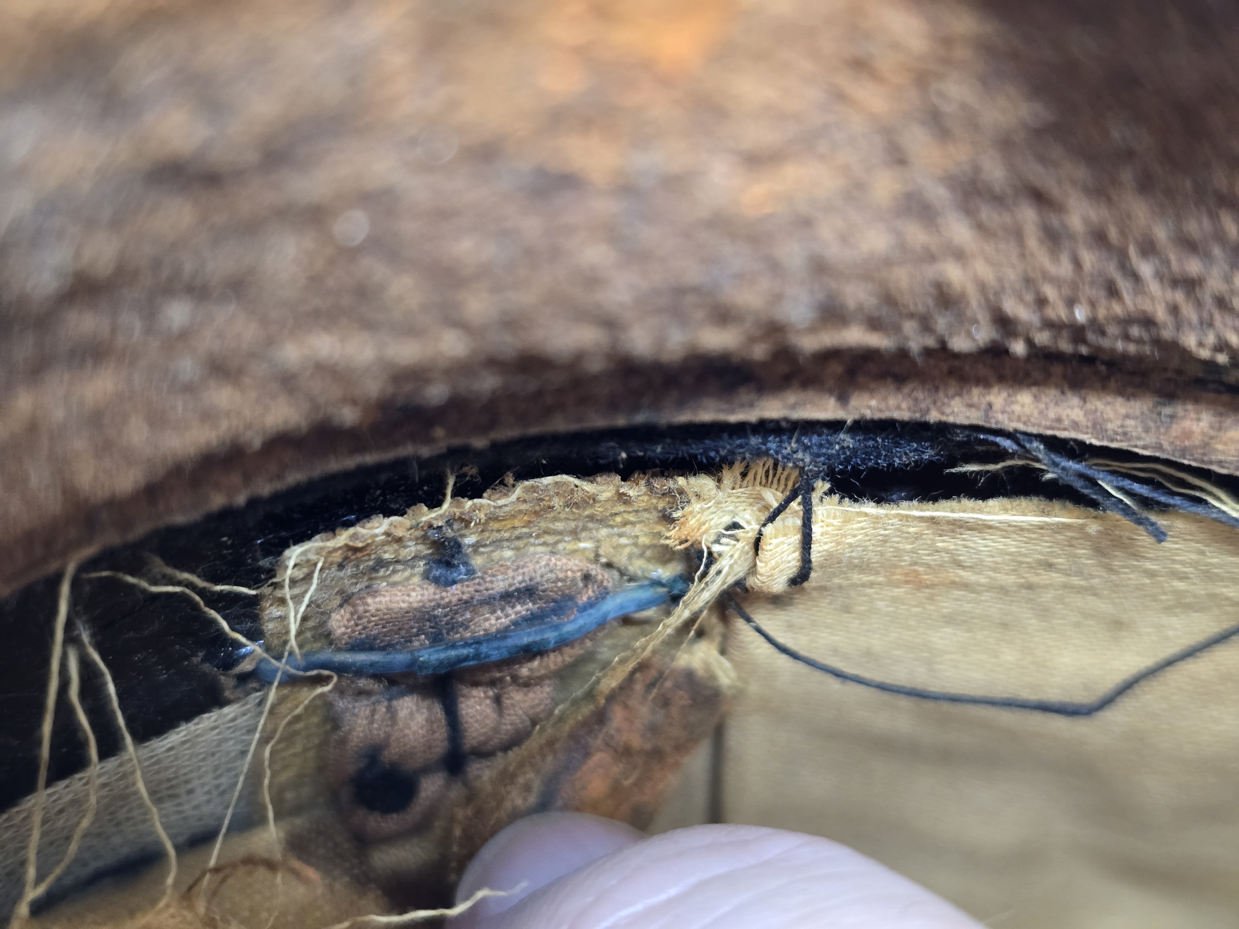 Fine Allgemeine-SS Officer's Cap — image 2