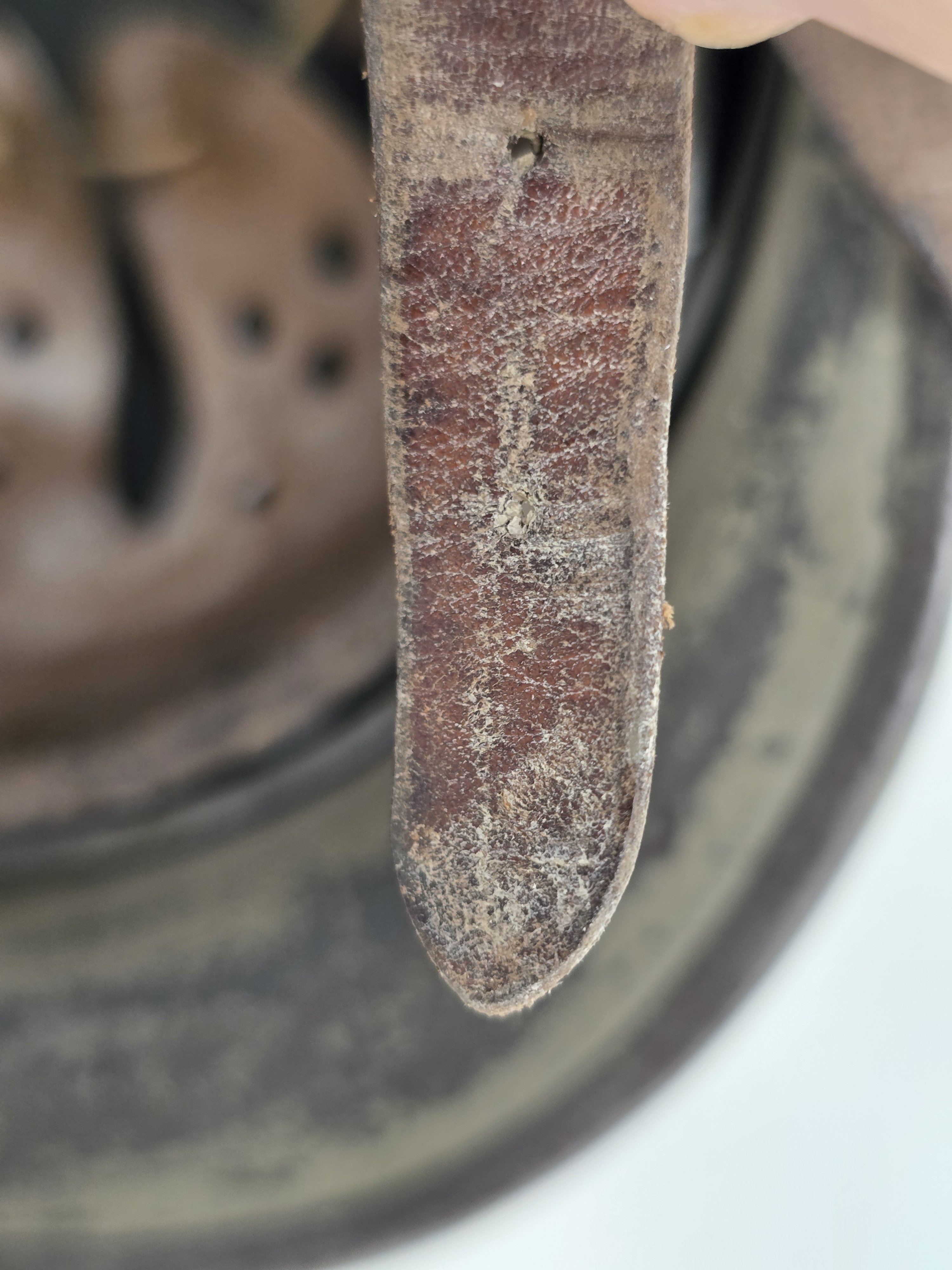 Killer Heer Camo, Later War Scheme — image 11