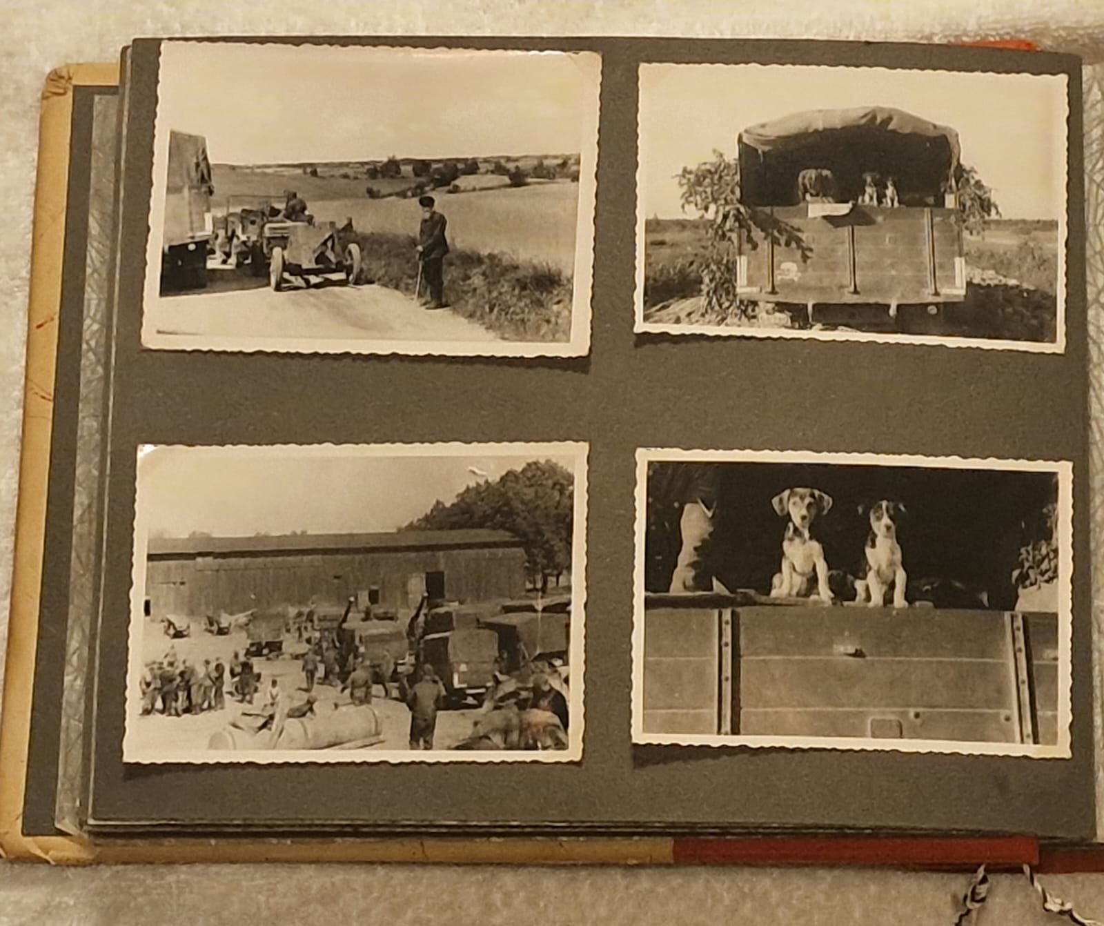 SS Totenkopf Photo Album- 88 Photos — image 7