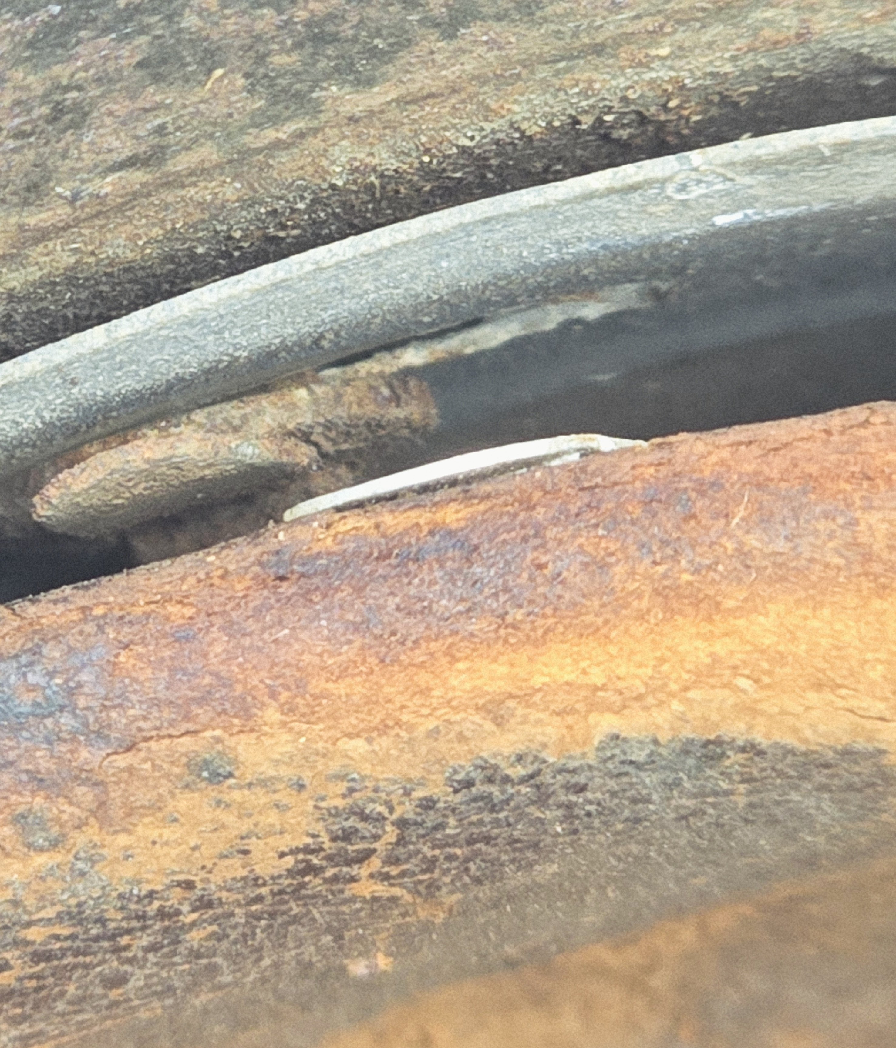 Heer M42 Helmet, Storage Unit Find — image 14