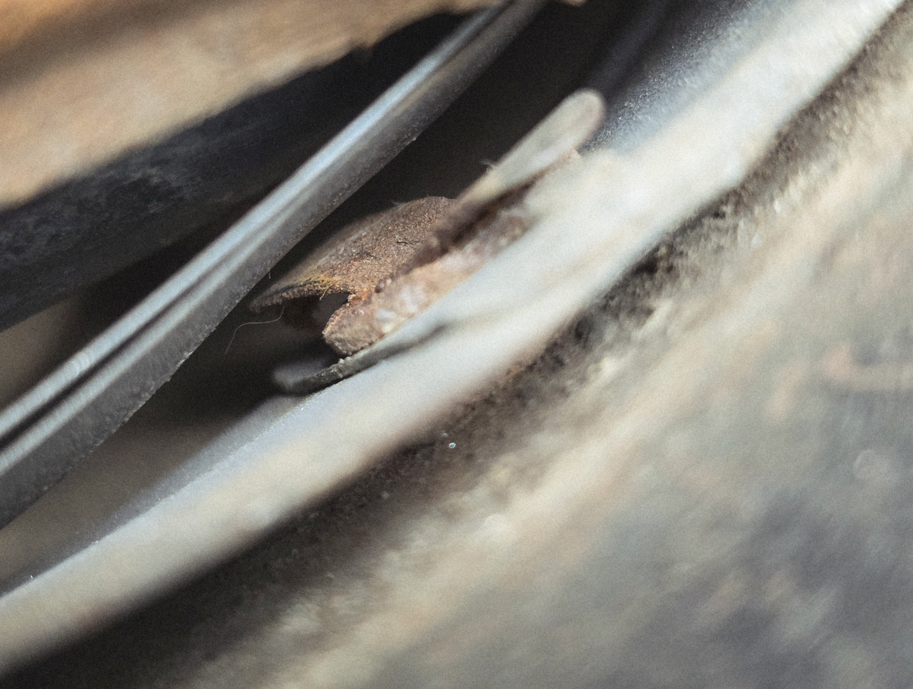 Heer M42 Helmet, Storage Unit Find — image 15