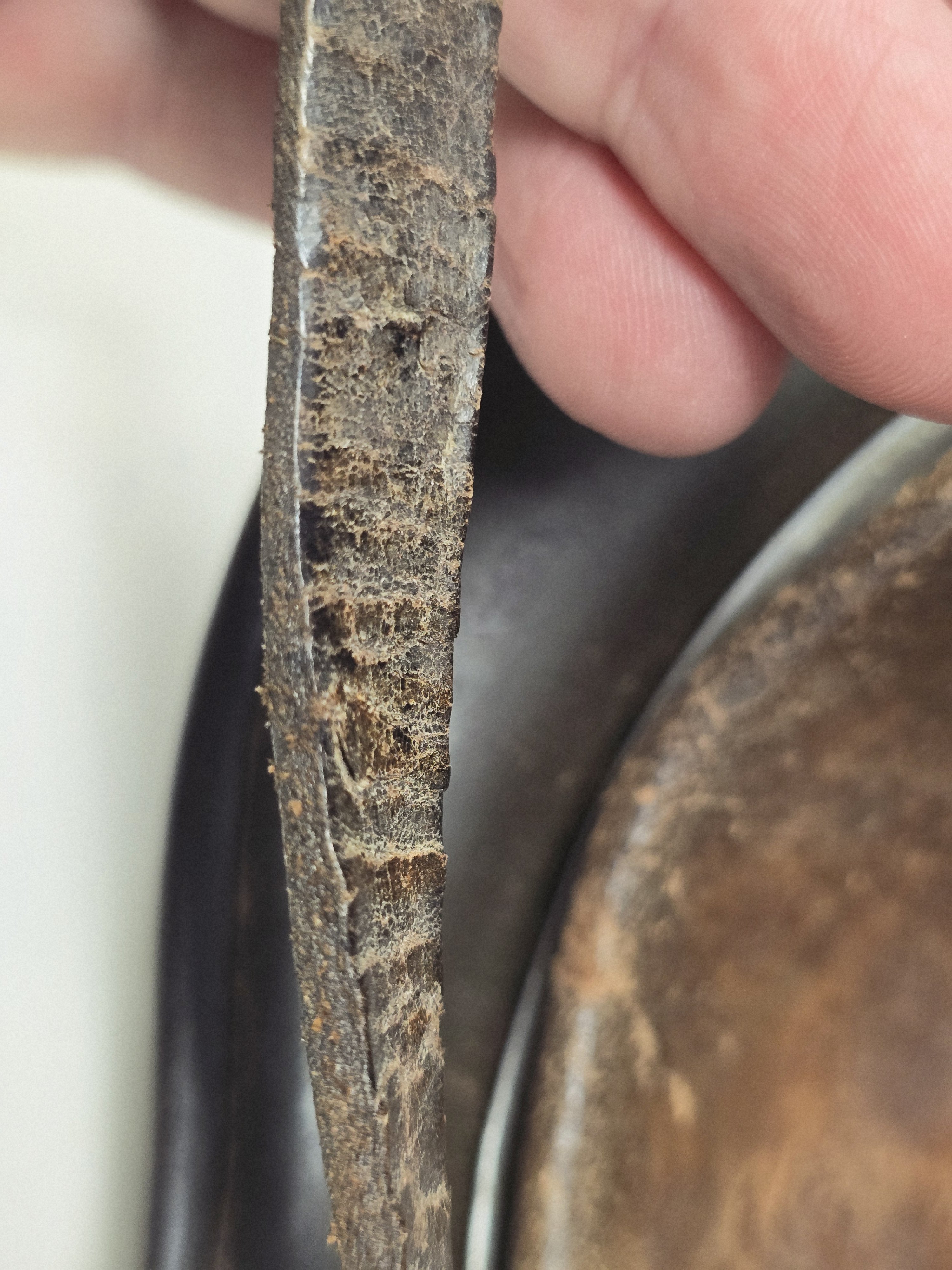 Waffen-SS ,,Wiking' Division Double Runic M35 Helmet — image 9